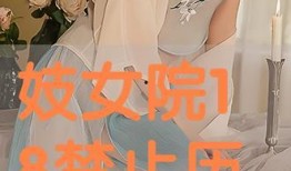 18禁止在线观看,网络观看的界限与挑战